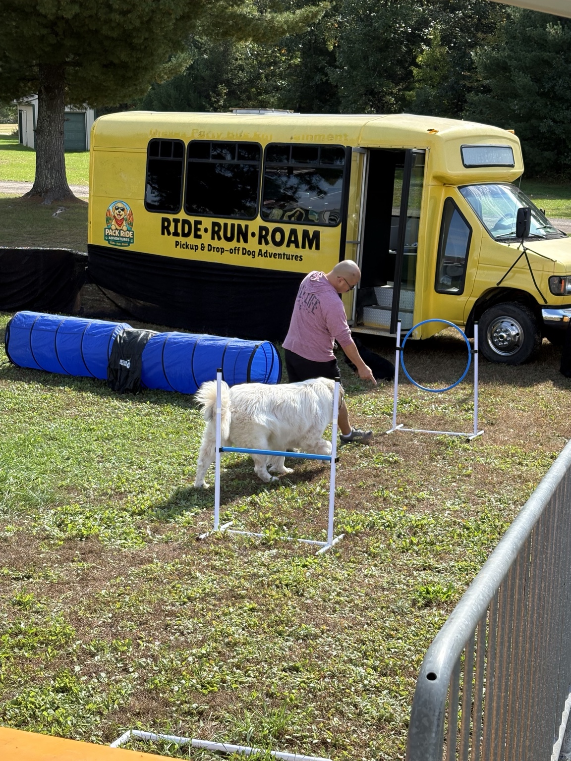 A visiting dog relaxing beside the Pack Ride booth