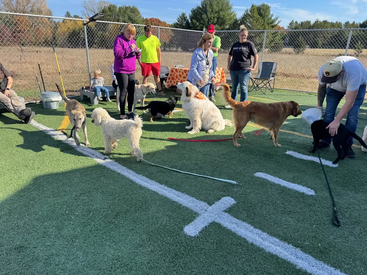 Dogs and visitors enjoying the outdoor community gathering