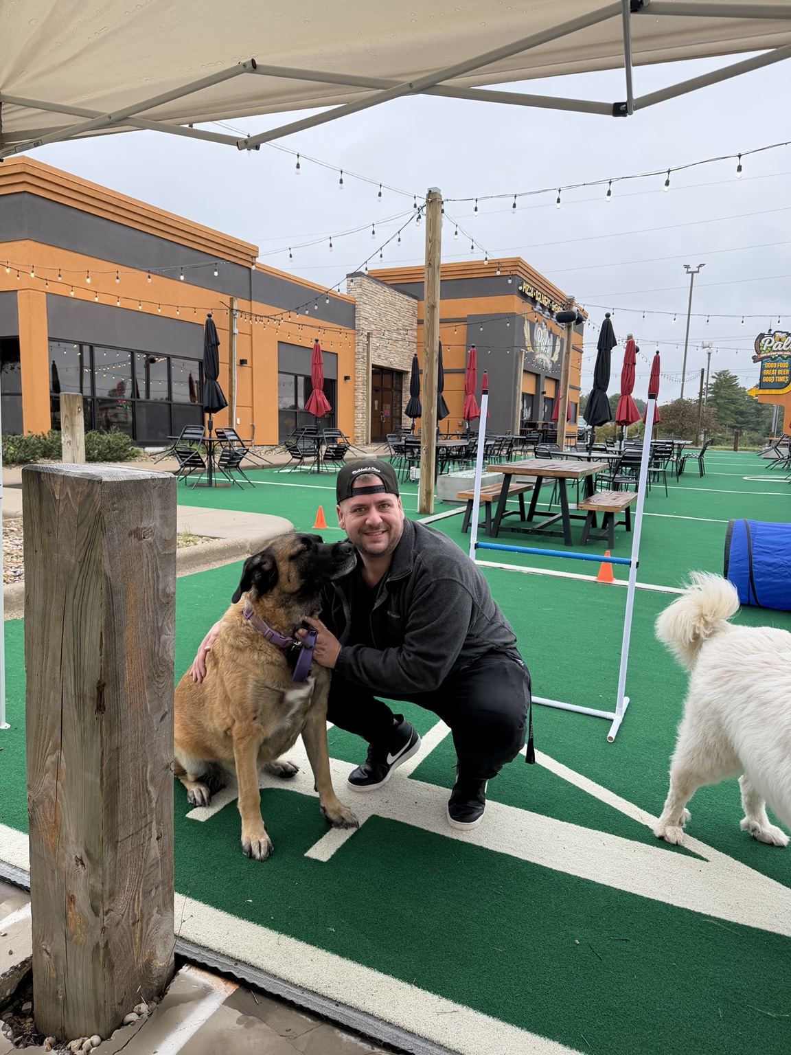 Guest sharing a happy moment with a dog at Pals With Your Pals
