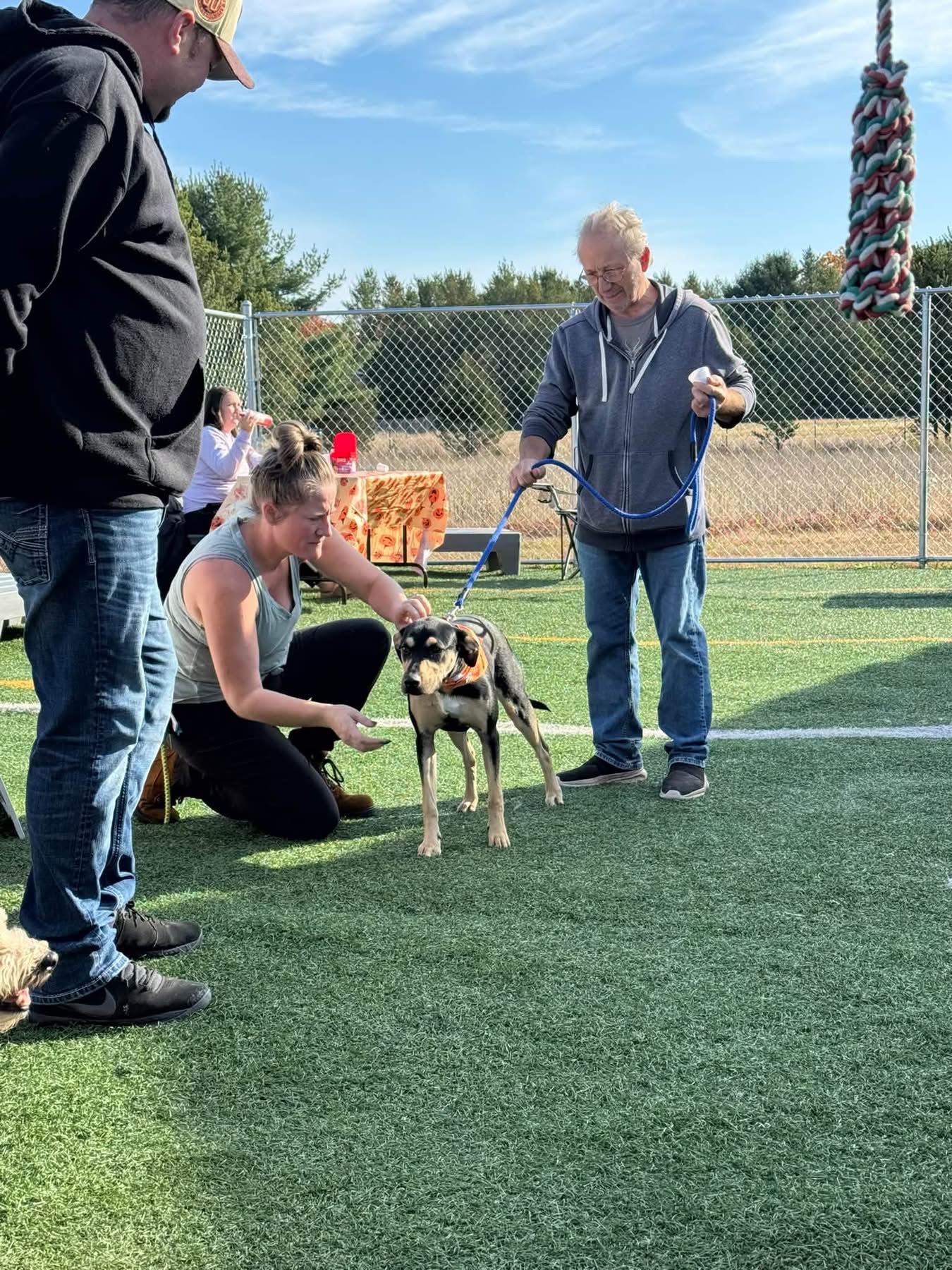 Dog receiving a gentle greeting at the clinic gathering